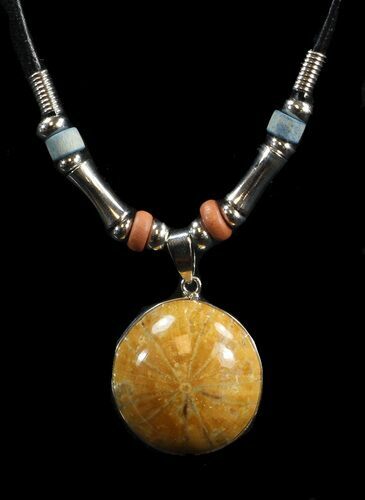 Polished Fossil Sand Dollar Necklace #43099